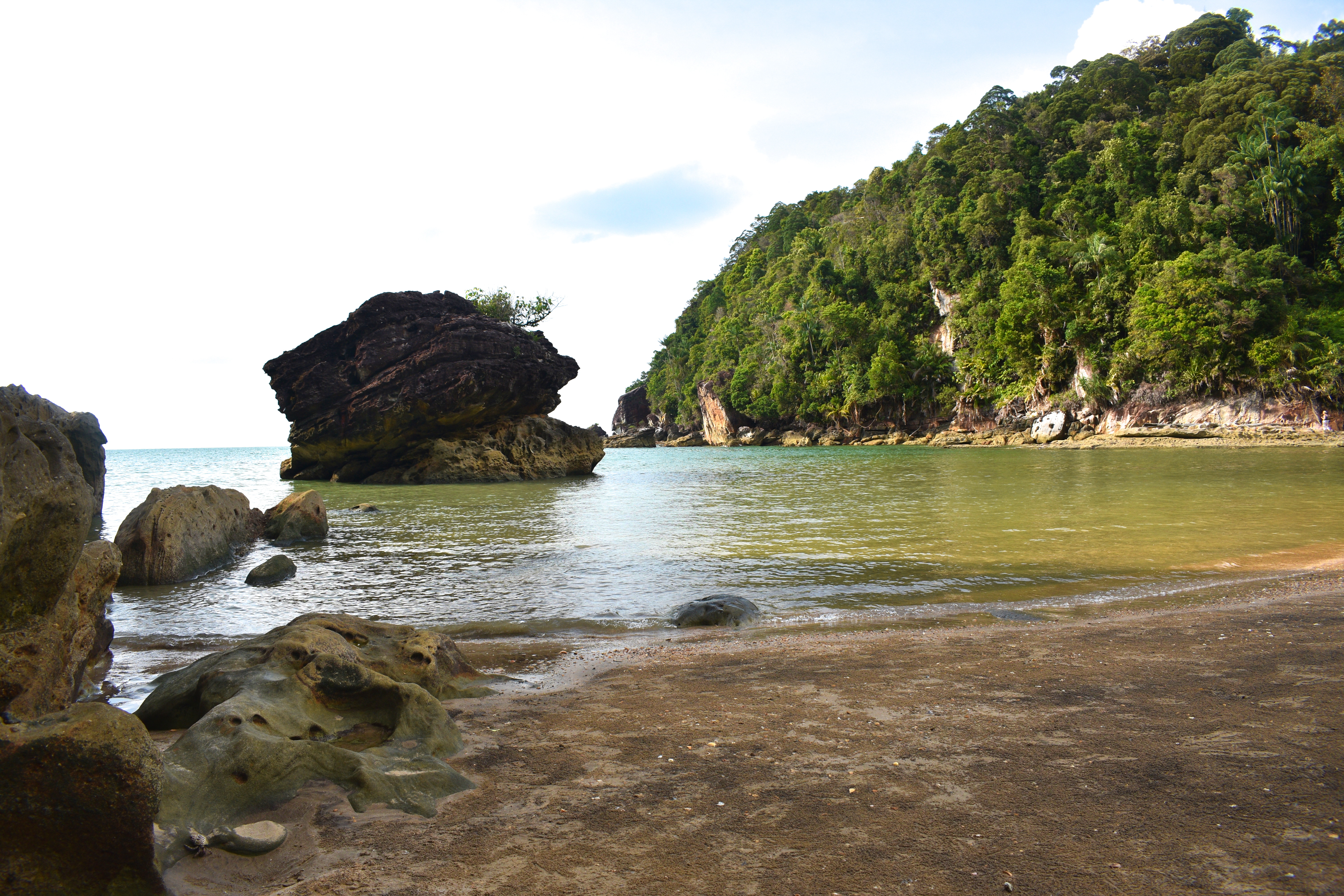 beach at Bako Park